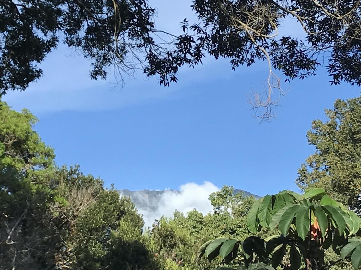 Bajo Boquete Casitas Vista Verde מראה חיצוני תמונה