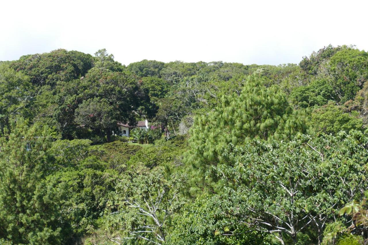 Bajo Boquete Casitas Vista Verde מראה חיצוני תמונה