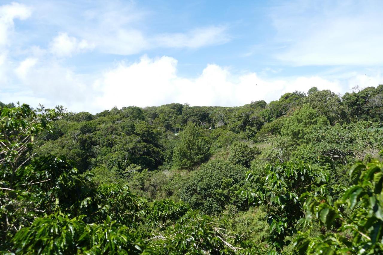 Bajo Boquete Casitas Vista Verde מראה חיצוני תמונה